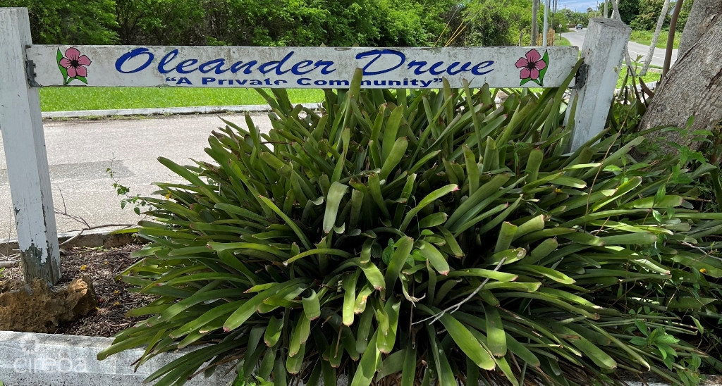 Savannah, Oleander Estates 0.9821 Acre Parcel