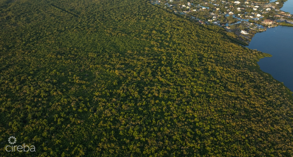 Development Land With Potential Access To North Sound  152 Acres Water Front