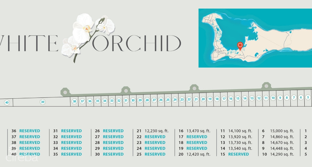 White Orchid - New Savannah Community - L5