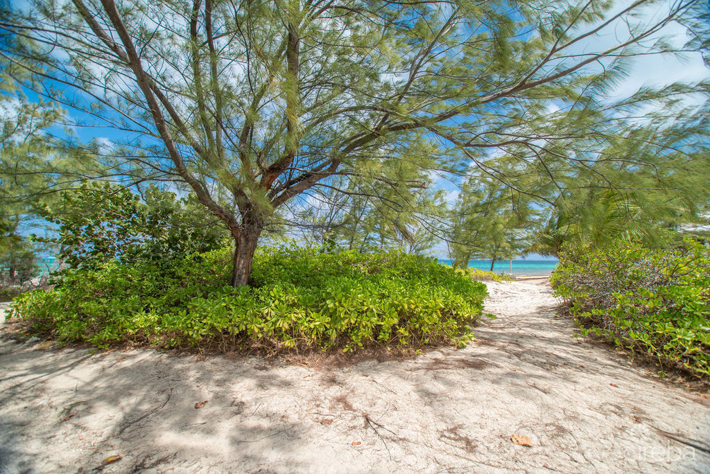 The Sand Bluff Estate  Gun Bay, East End