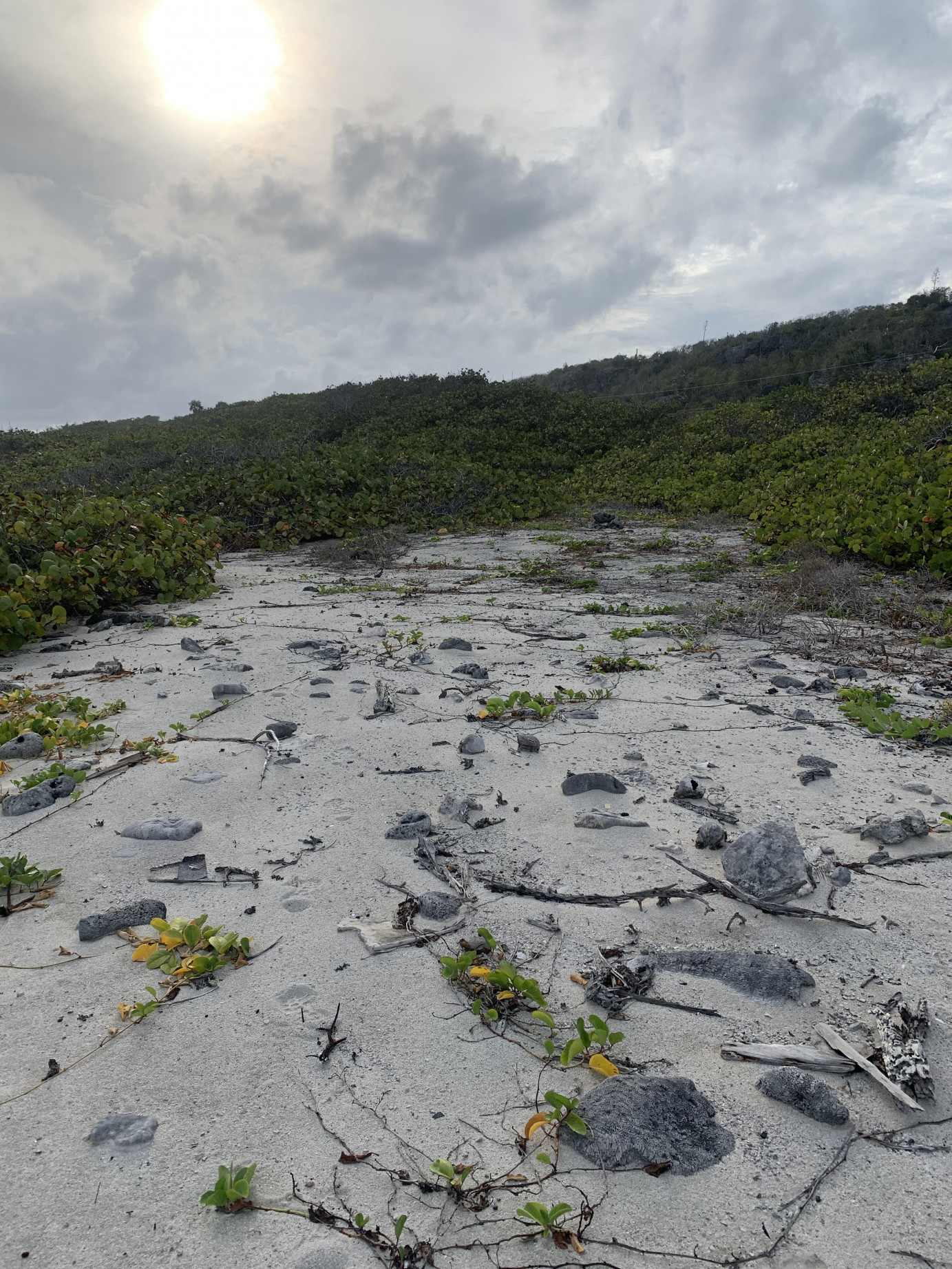 South Side Ocean Front Land