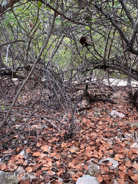 South Side Ocean Front Land