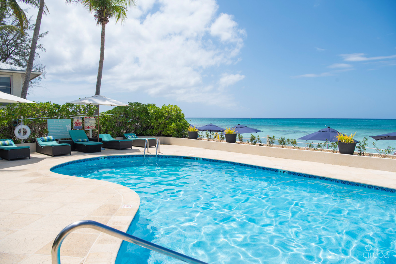 South Bay Beach Club