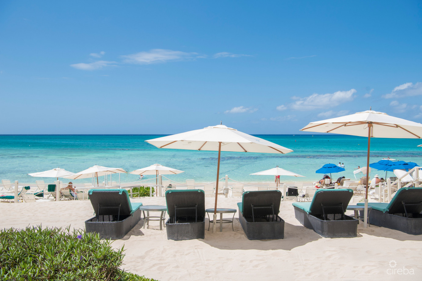 South Bay Beach Club