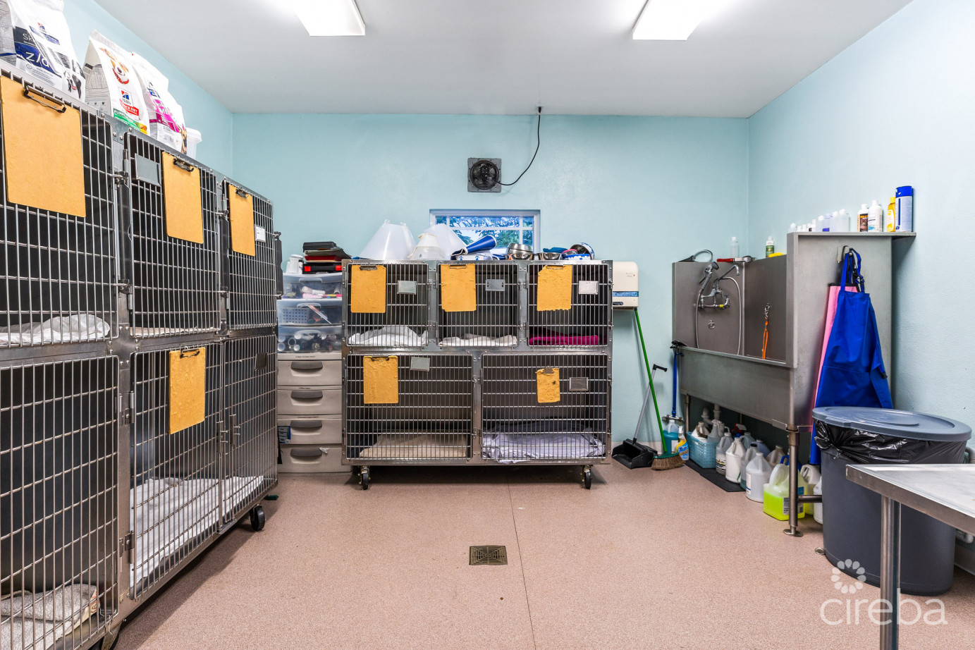 Island Veterinary Services Vet Clinic And Property