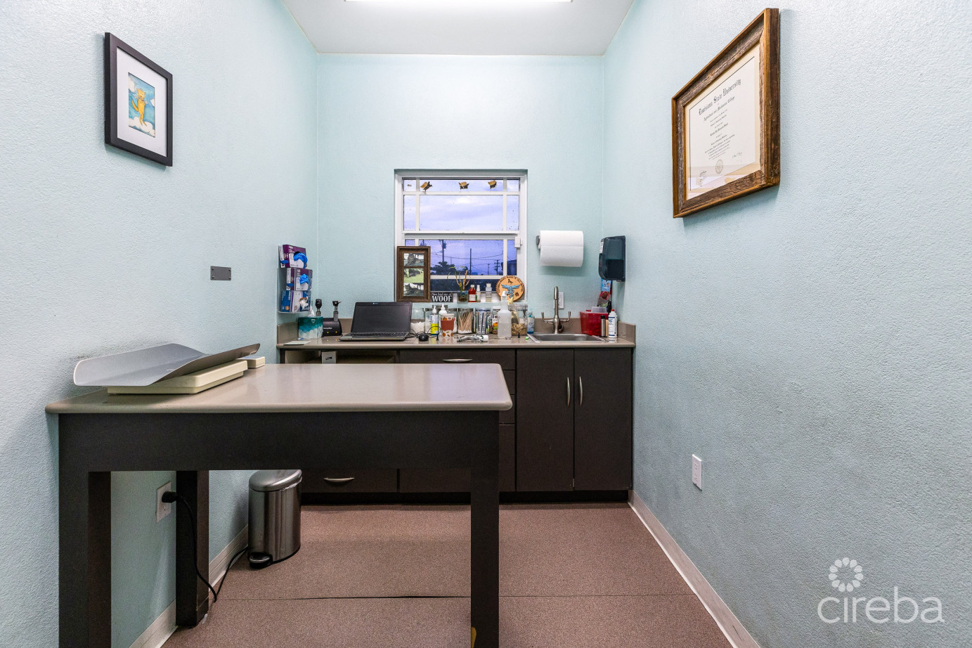 Island Veterinary Services Vet Clinic And Property