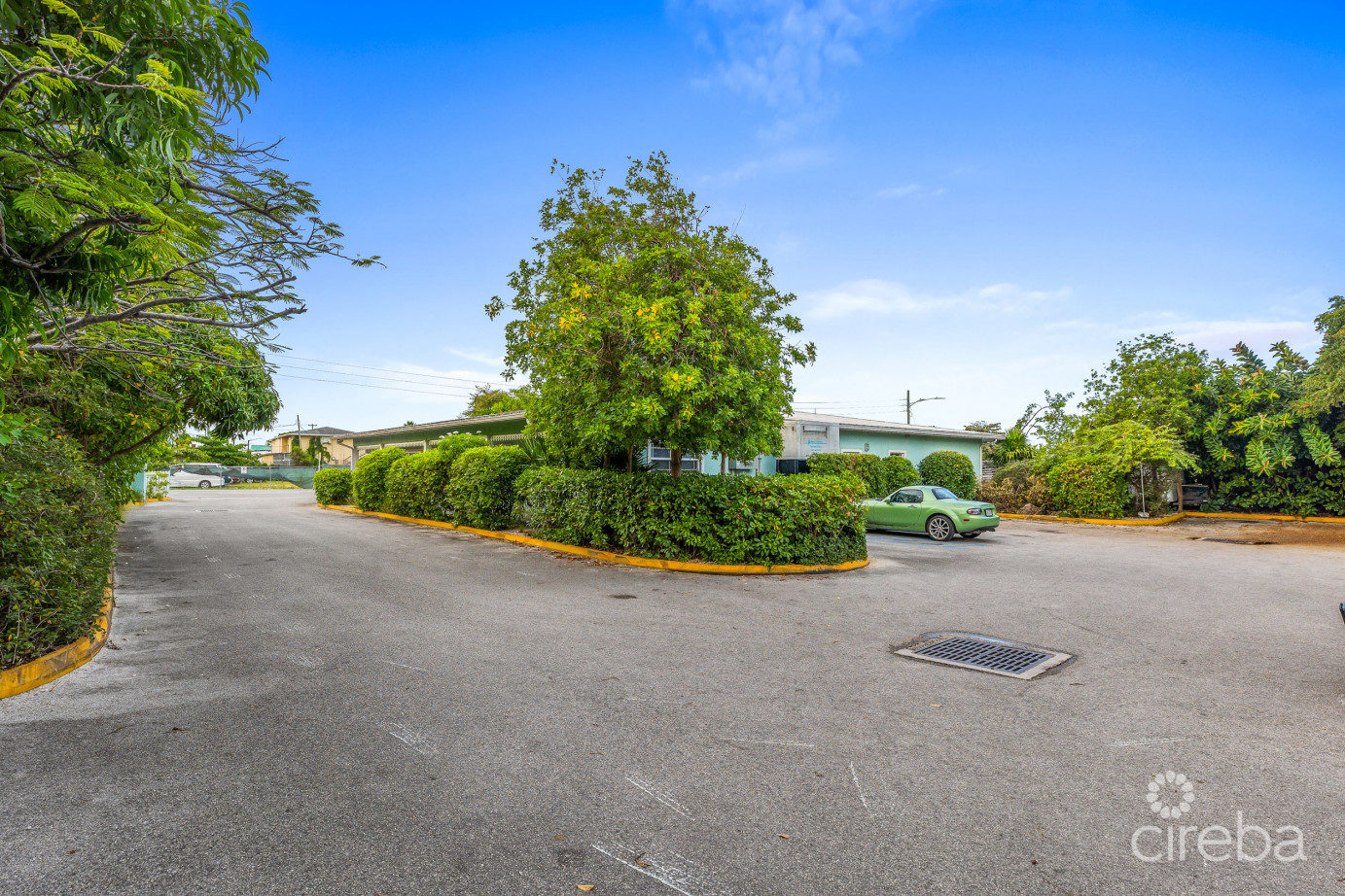 Island Veterinary Services Vet Clinic And Property