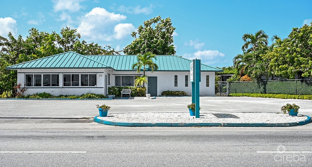 Cayman Animal Hospital On Crewe Road