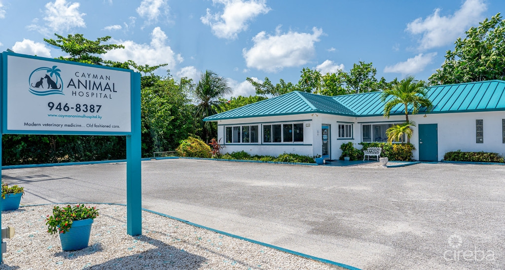 Cayman Animal Hospital On Crewe Road