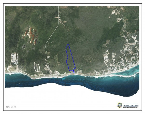 The Blow Holes Lot #14