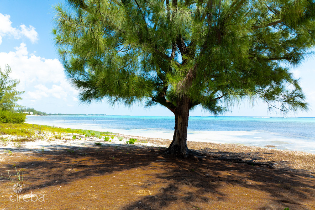 Prime Beachfront Development Opportunity