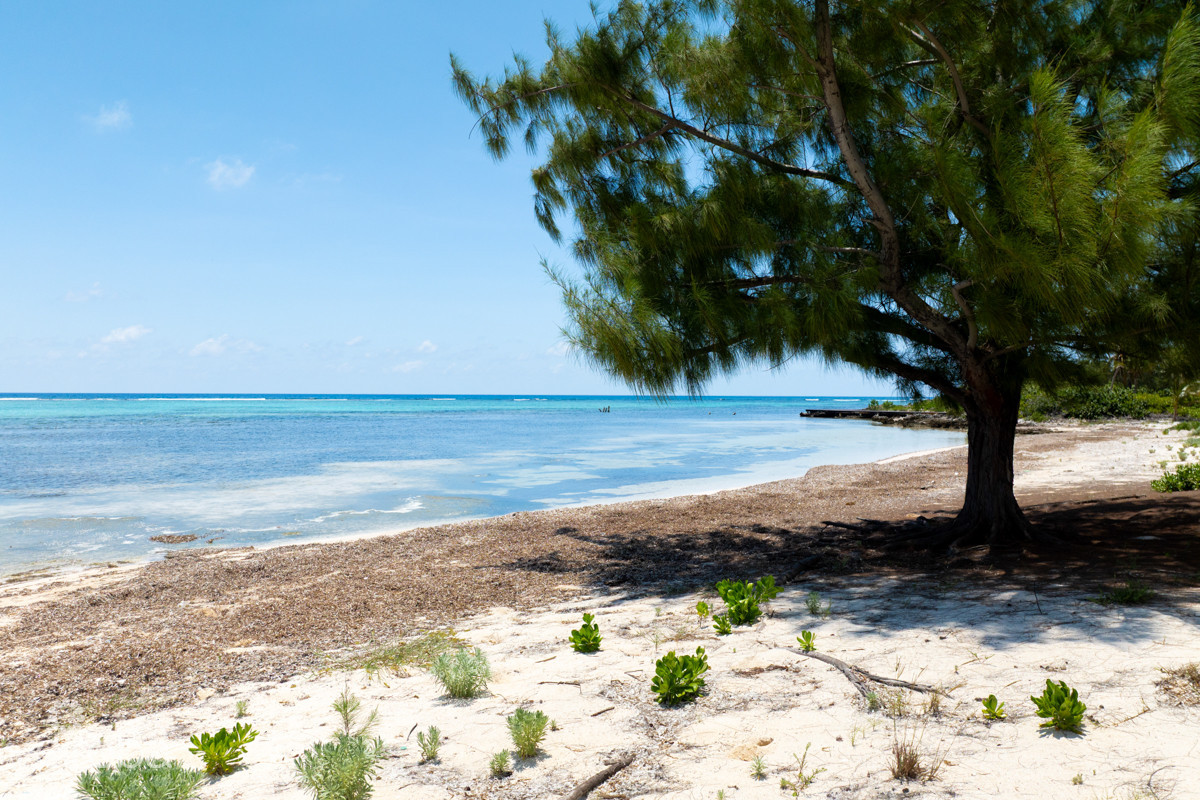 Prime Beachfront Development Opportunity