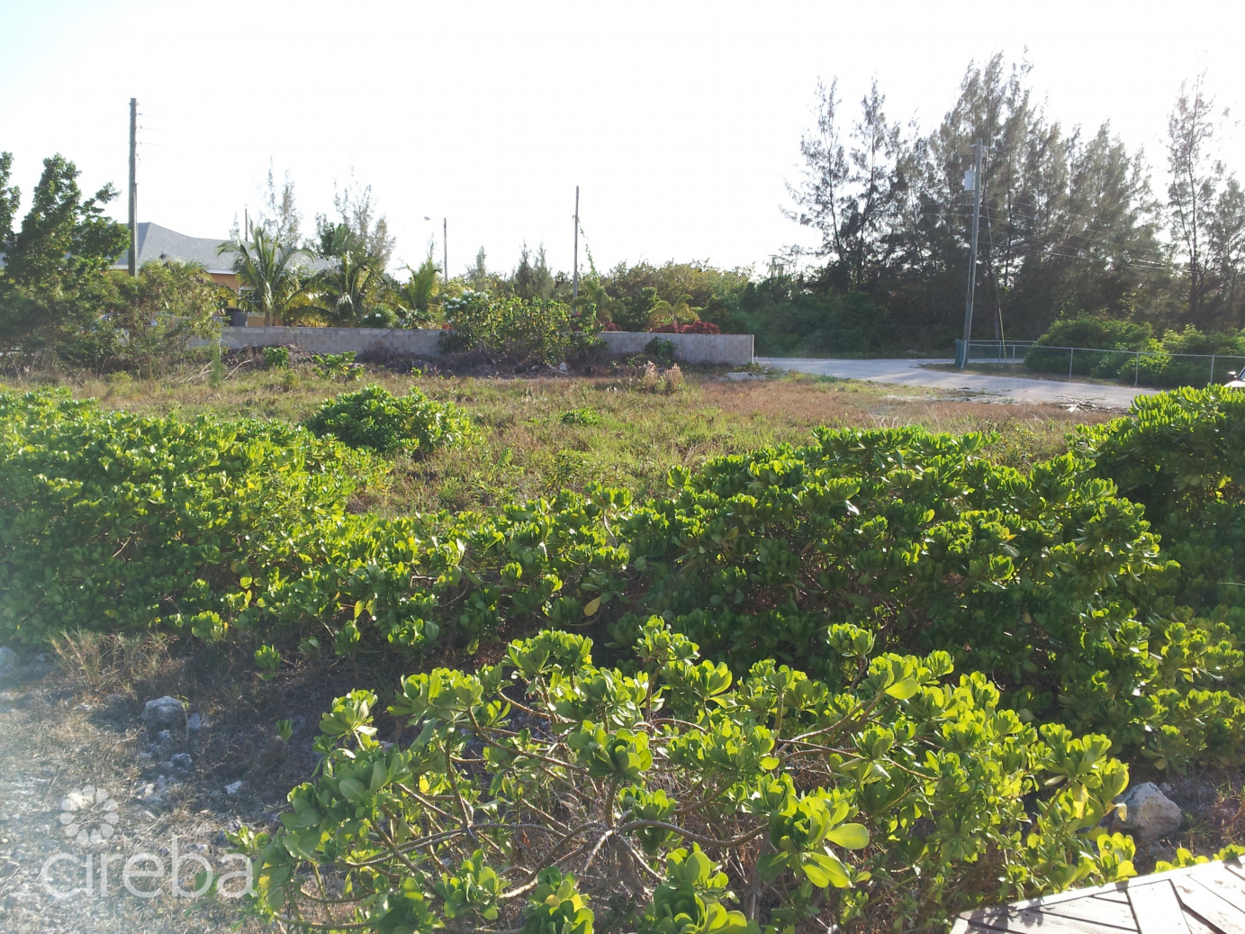 Double Canal Frontage Omega Bay Lot