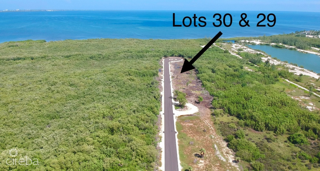 New Savannah Community Lot #30