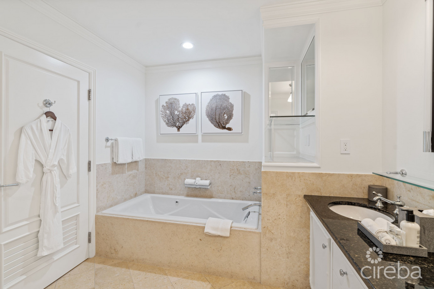 The Ritz Carlton Residence #605