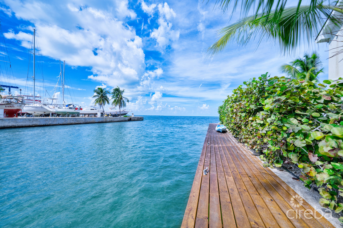 Oceanfront Corner Unit- Harbour Point Villa #5