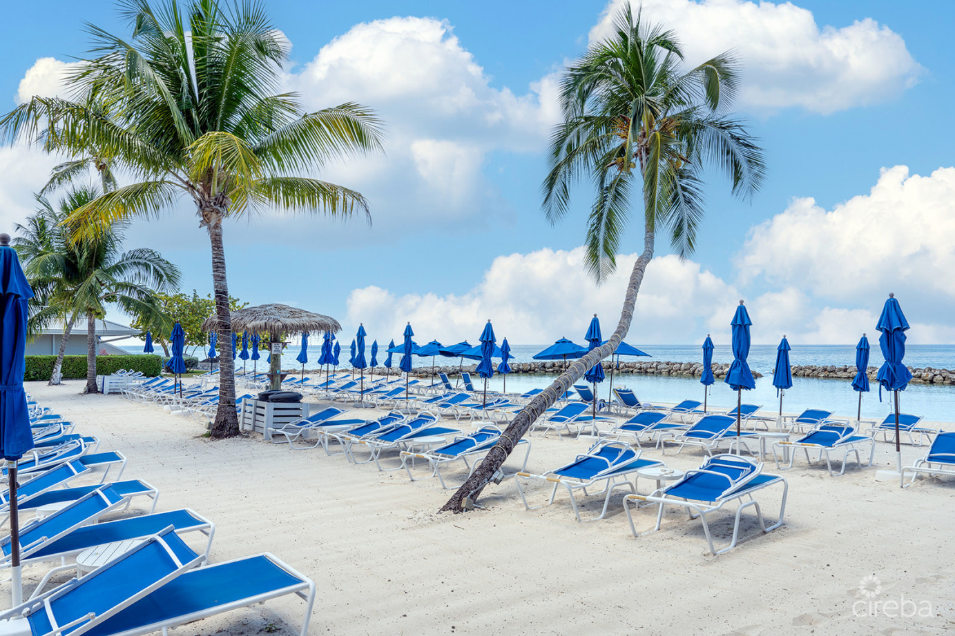 Sunset Cove  - Penthouse - Corner Unit