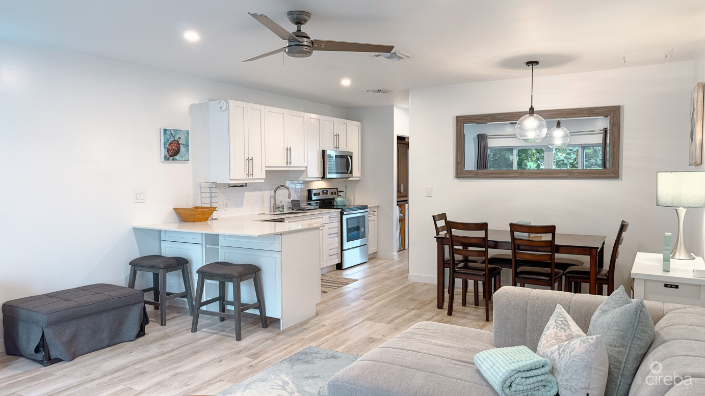 1 Bed Condo Downtown Reach