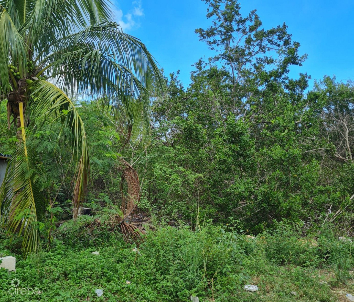 .3 Acre Lot North Side