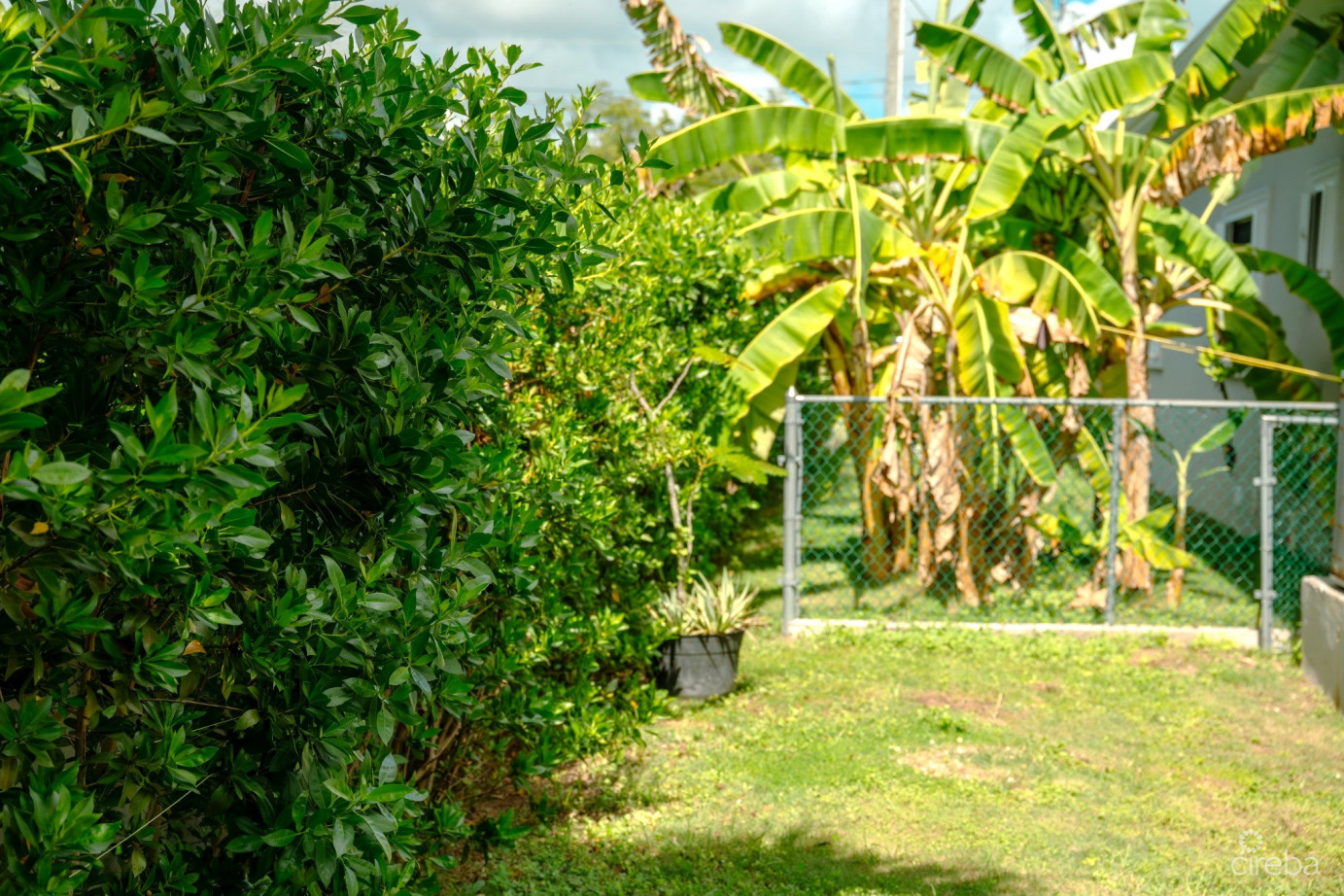 4 Bedroom Beautiful Family Home In Savannah