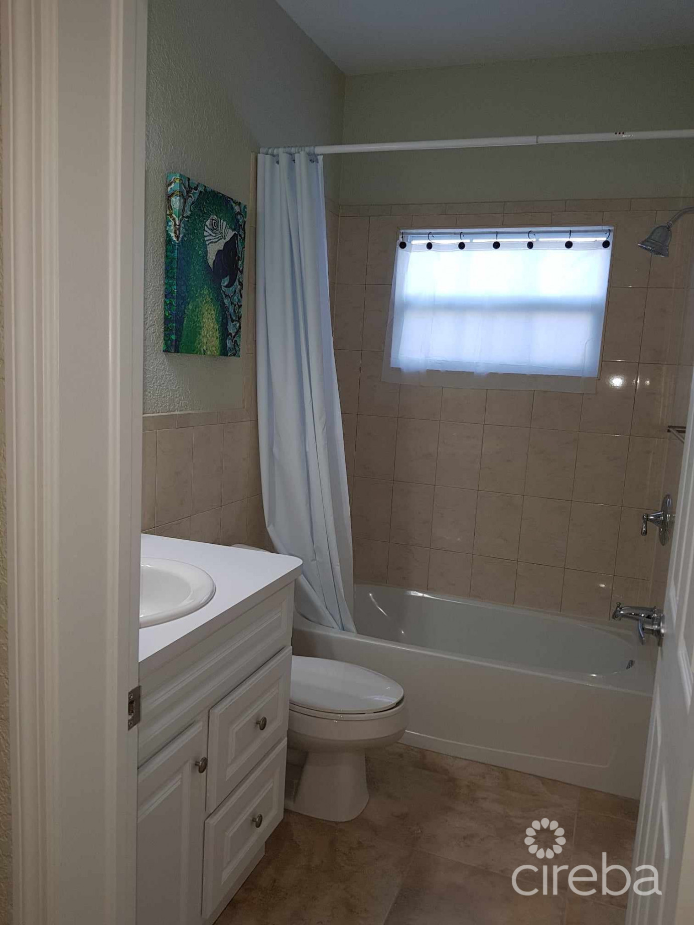 The Thatch At Frank Sound