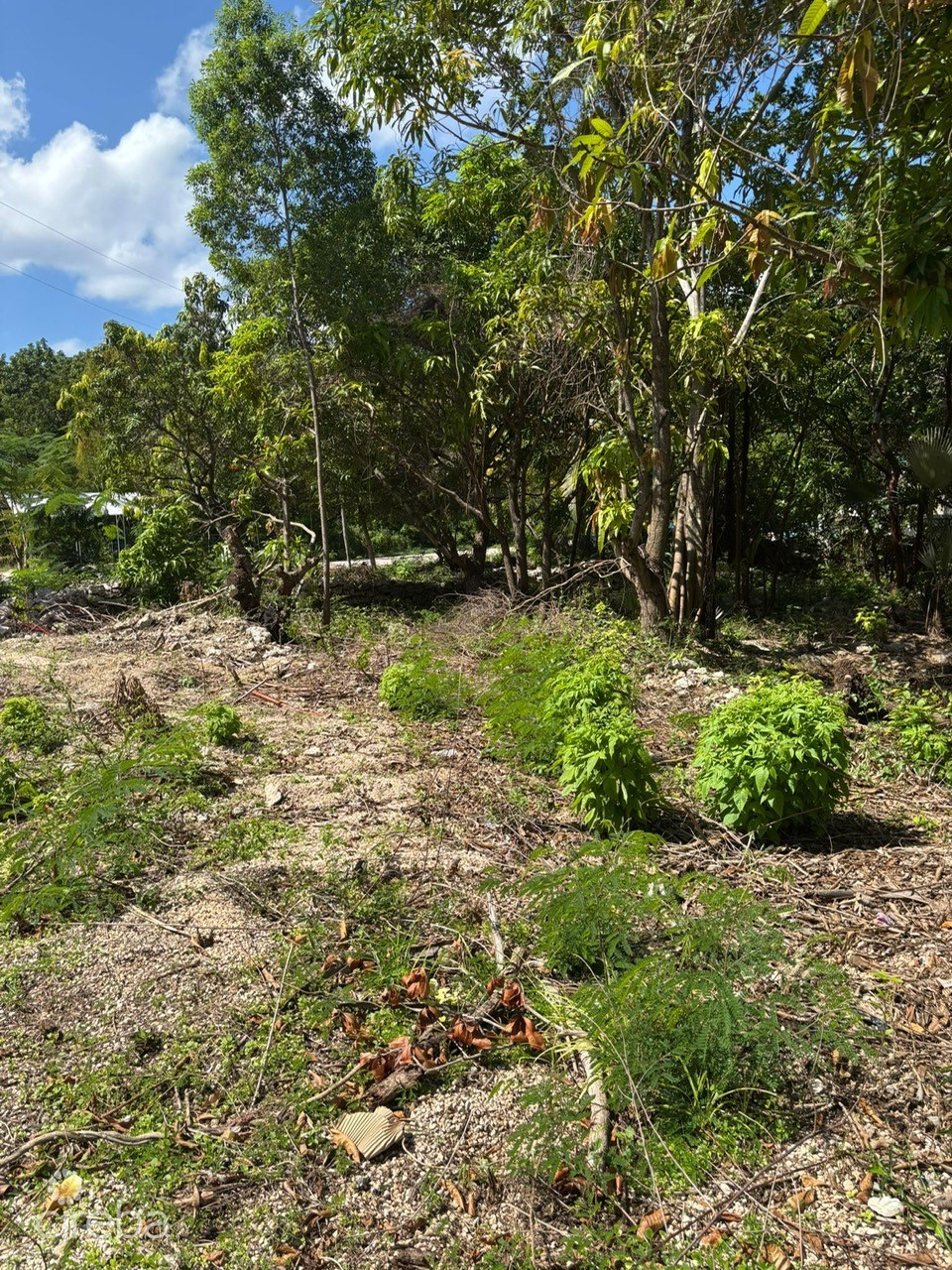 Exceptional Corner Lot In Prime Cayman Brac Location - Ready To Build