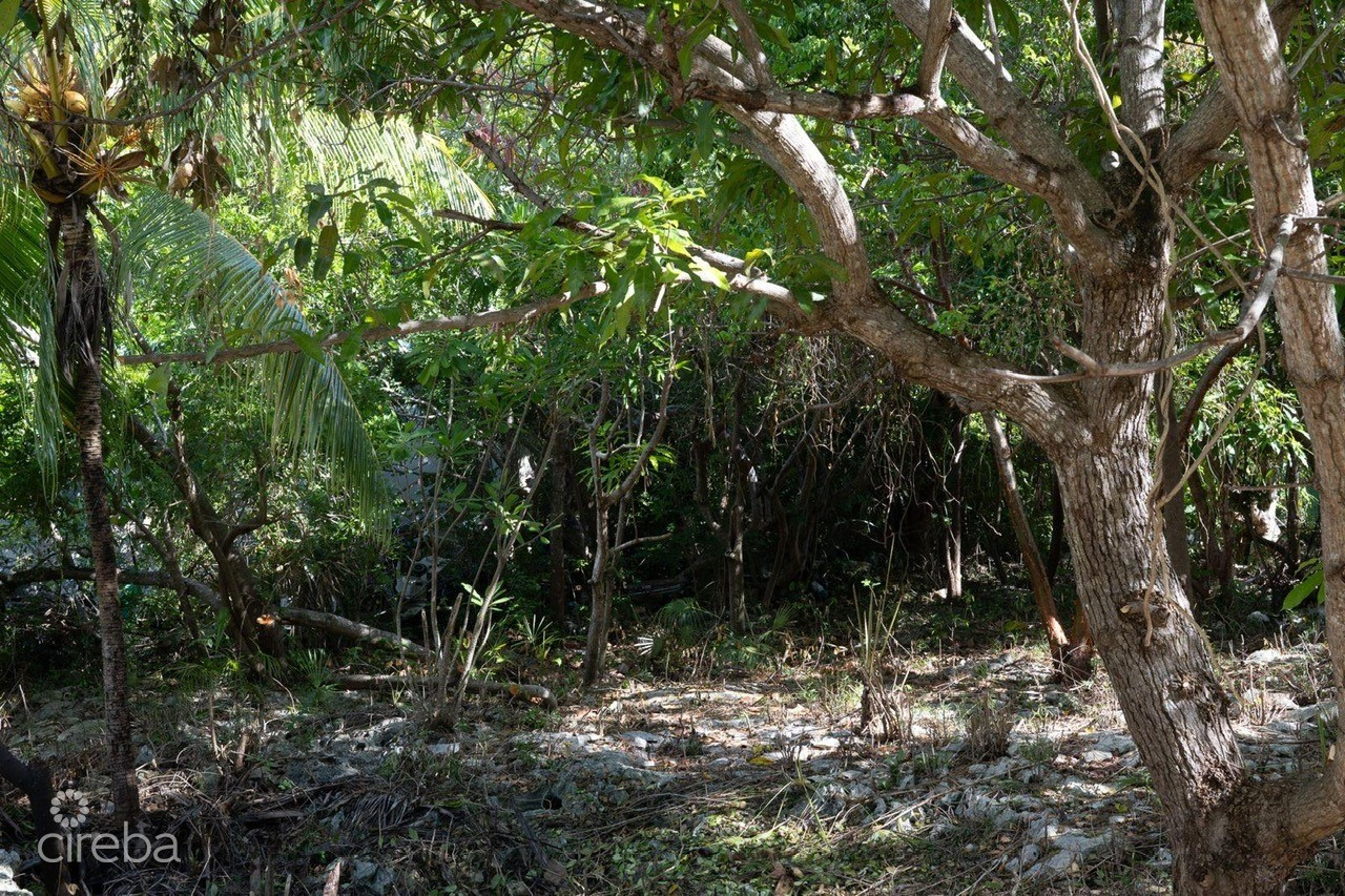 Exceptional Corner Lot In Prime Cayman Brac Location - Ready To Build