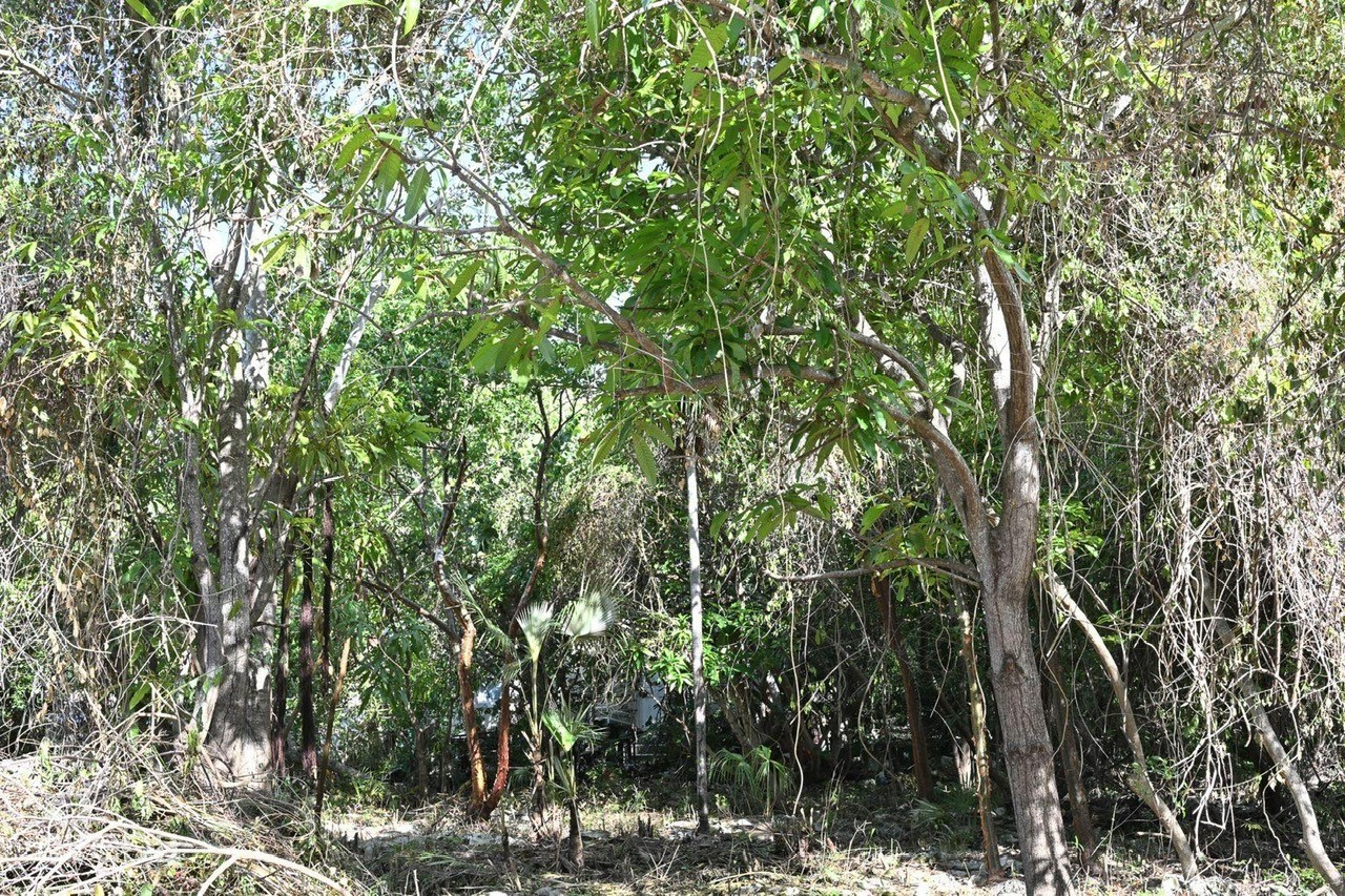 Exceptional Corner Lot In Prime Cayman Brac Location - Ready To Build