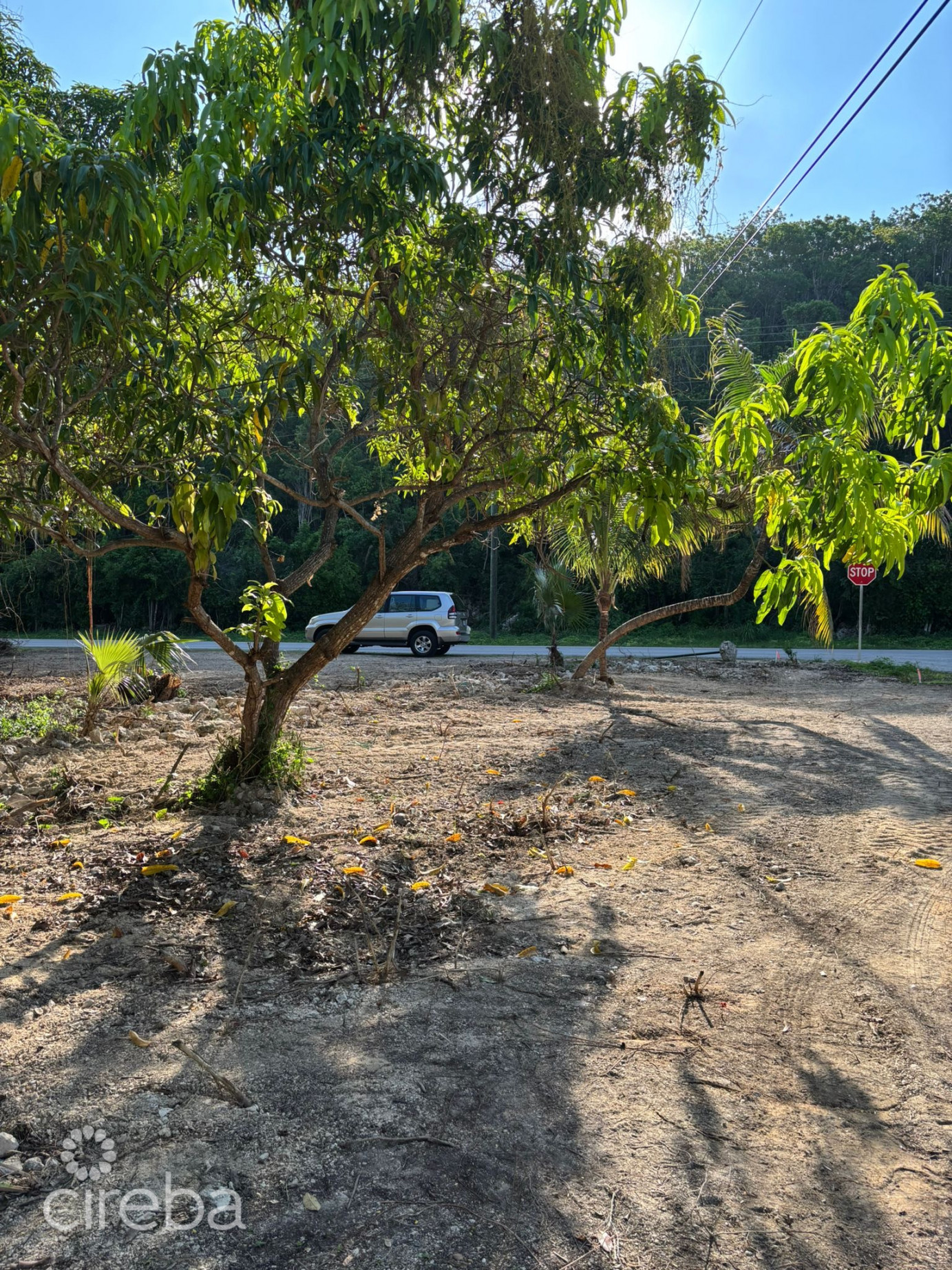 Exceptional Corner Lot In Prime Cayman Brac Location - Ready To Build