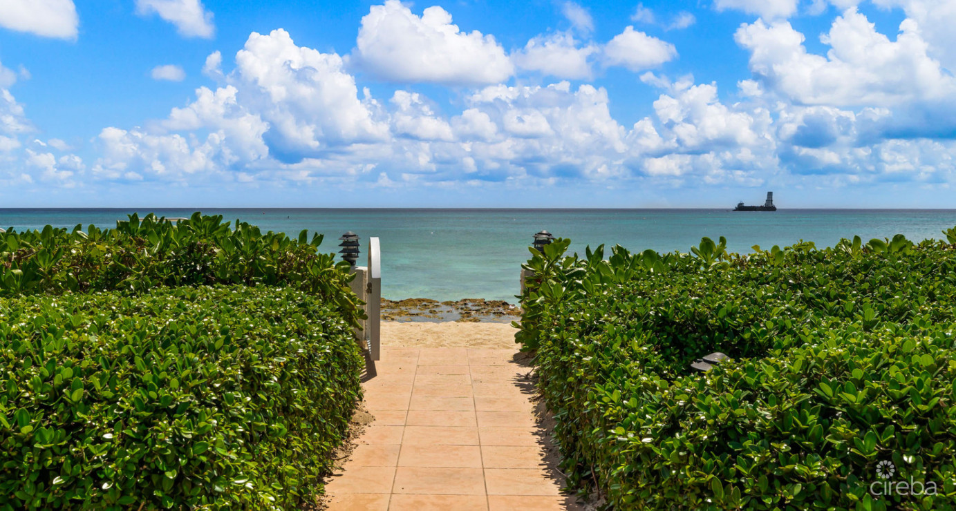 Grapetree #7 Beachfront (renovated Gf 3 Bed / 3 Bath)