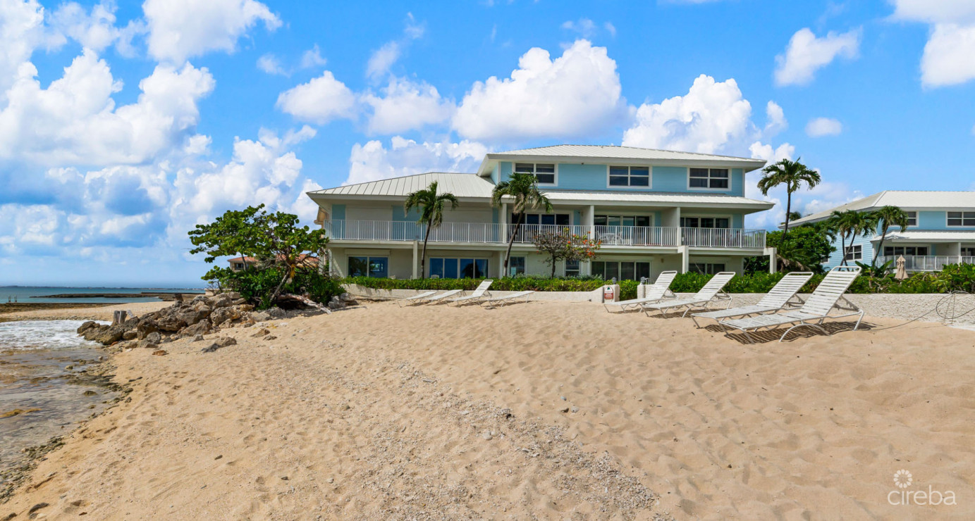 Grapetree #7 Beachfront (renovated Gf 3 Bed / 3 Bath)