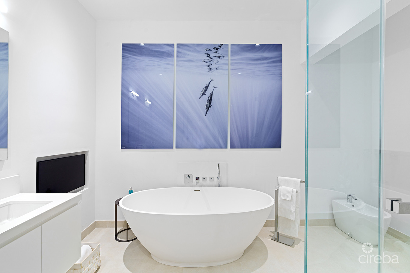 Pinnacle #34 Penthouse With Garage