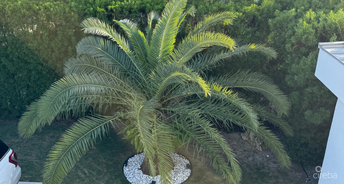 "hideaway Hill" Lush Modern Elegance Close To Sea Access