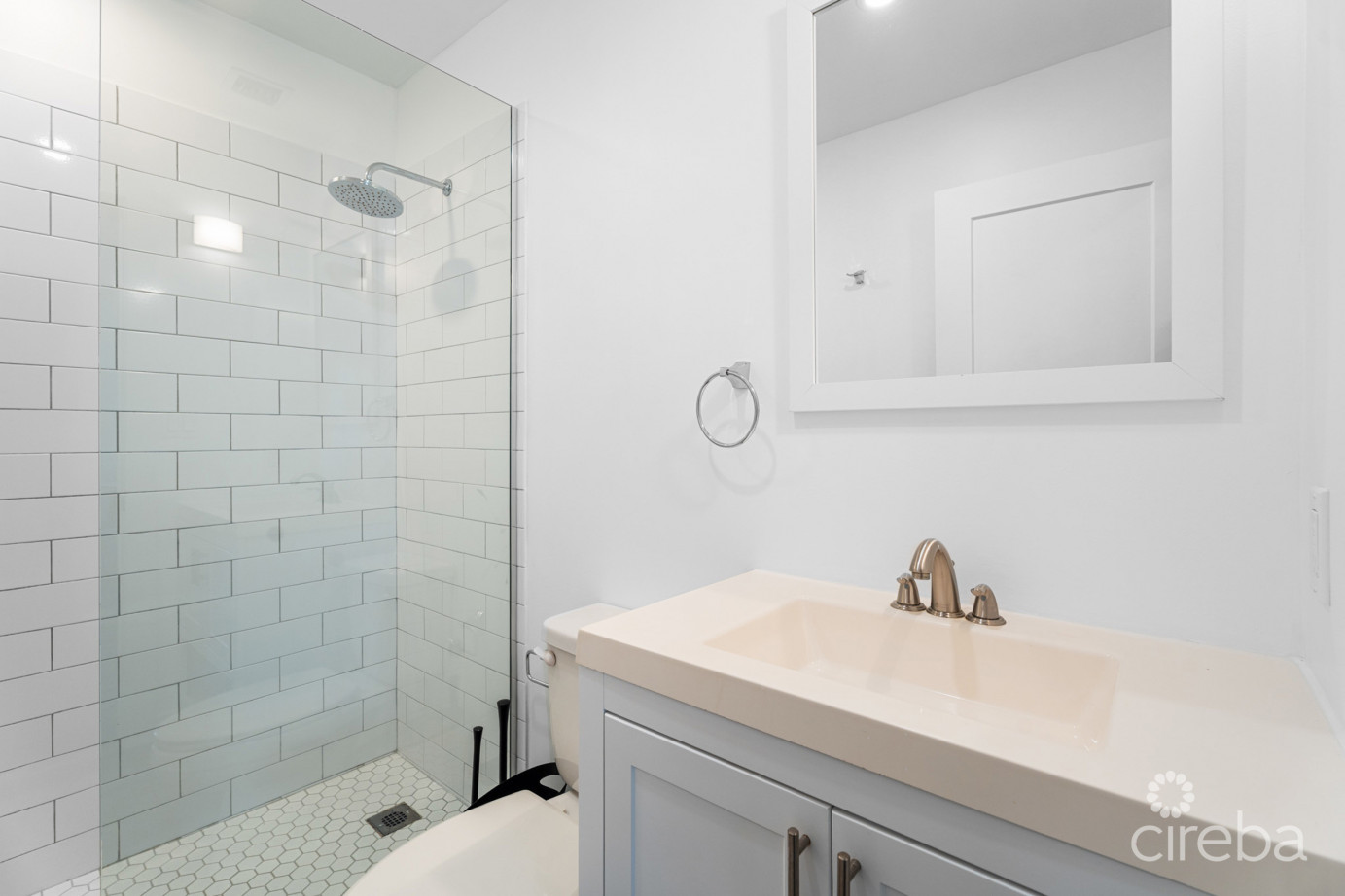 19 North 3 Bed Corner Unit With Lake View