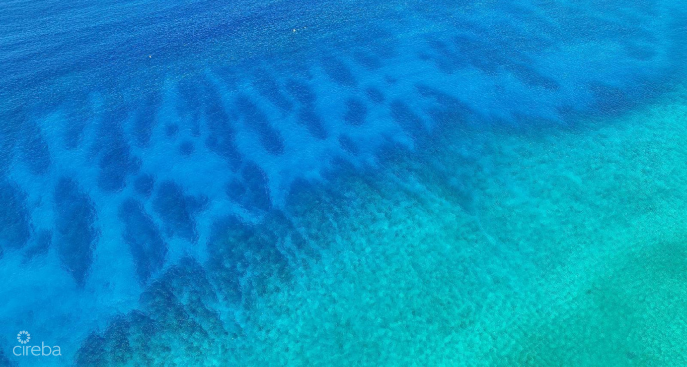 330 Feet Of Stunning Oceanfront Land- Incredibly Rare