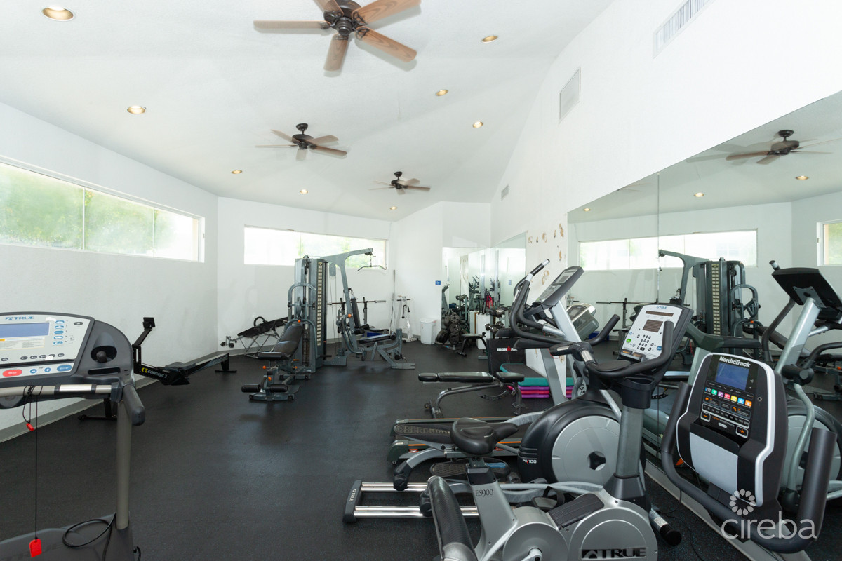 Southampton Gardens #1