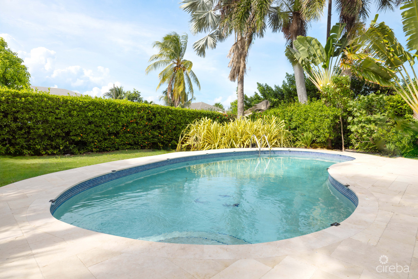 Birch Ave Spotts Single Family Home W/pool