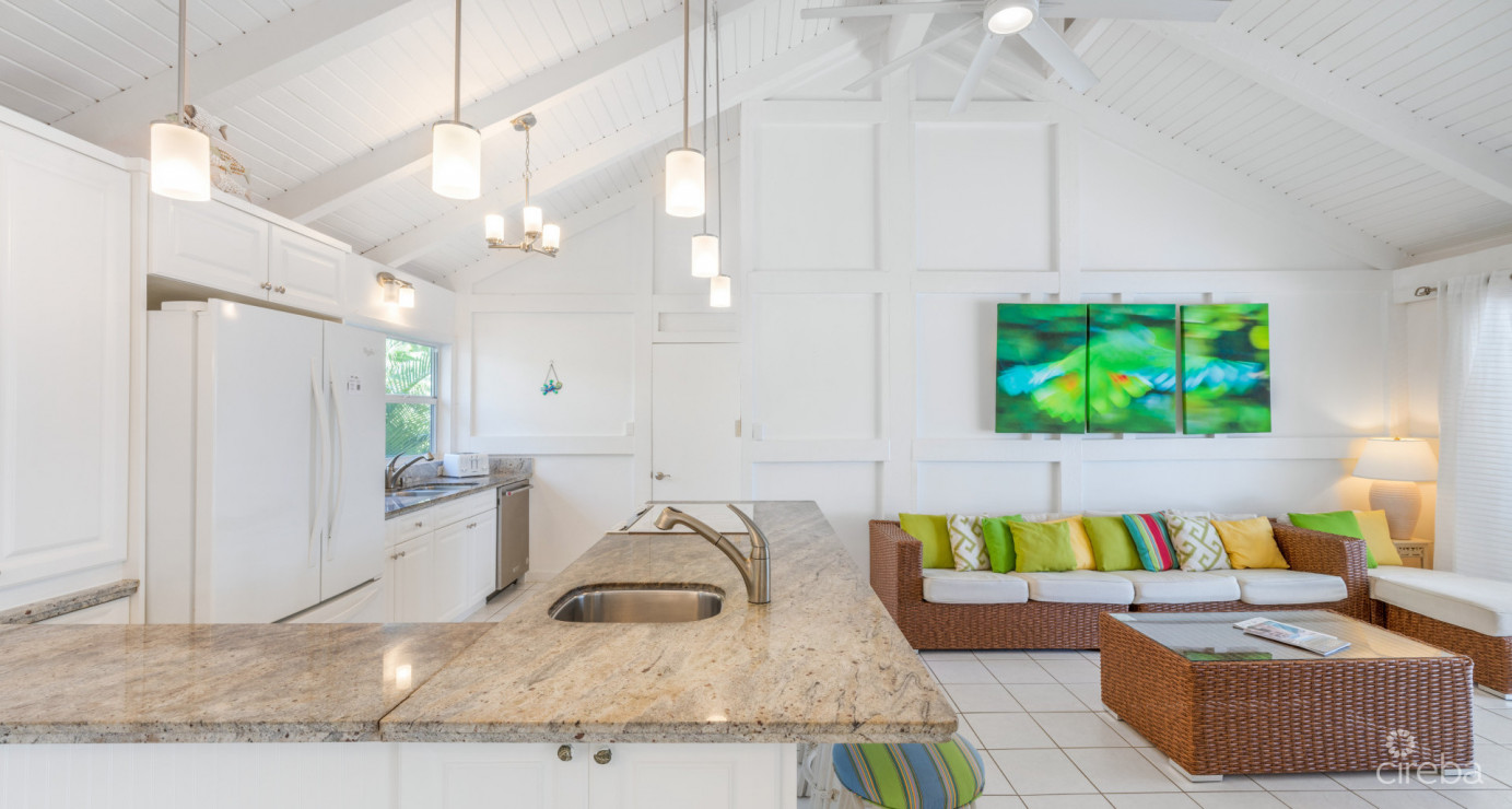 Just 4 Fun - Ultra-private Beachfront Villa, Cayman Kai