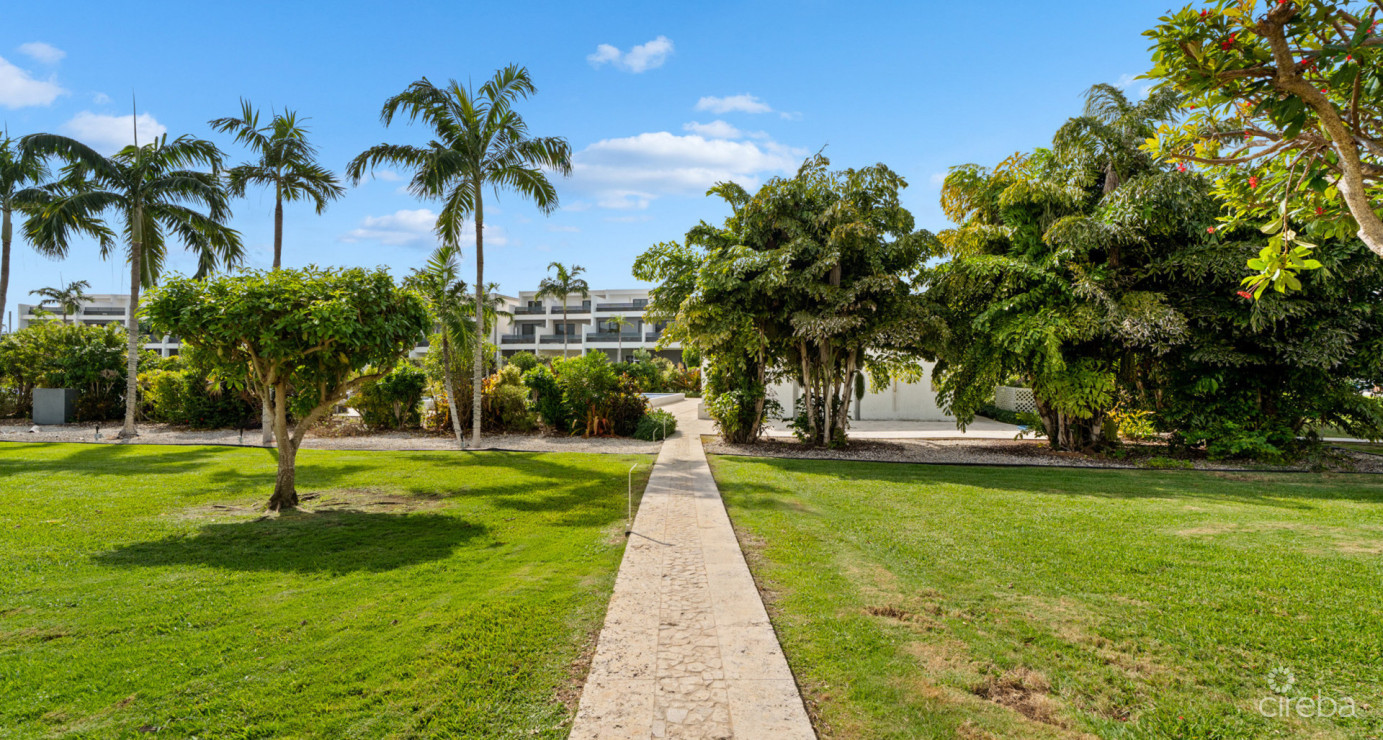 Vela  Life In Motion