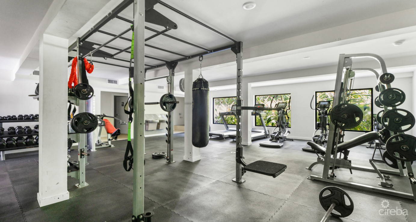 Vela  Life In Motion