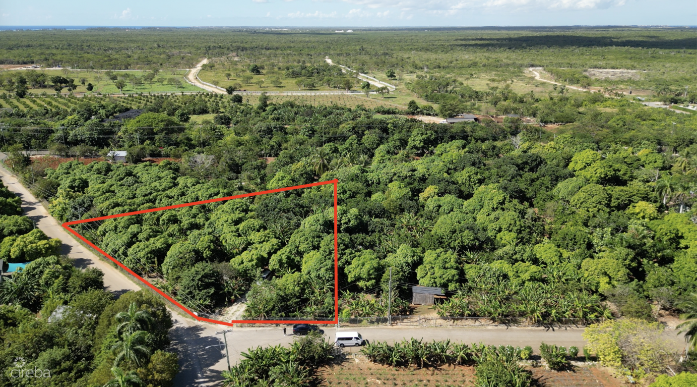 Rare 1-acre Farm Paradise In Up-and-coming High Rock - East End's Hottest Farming Location