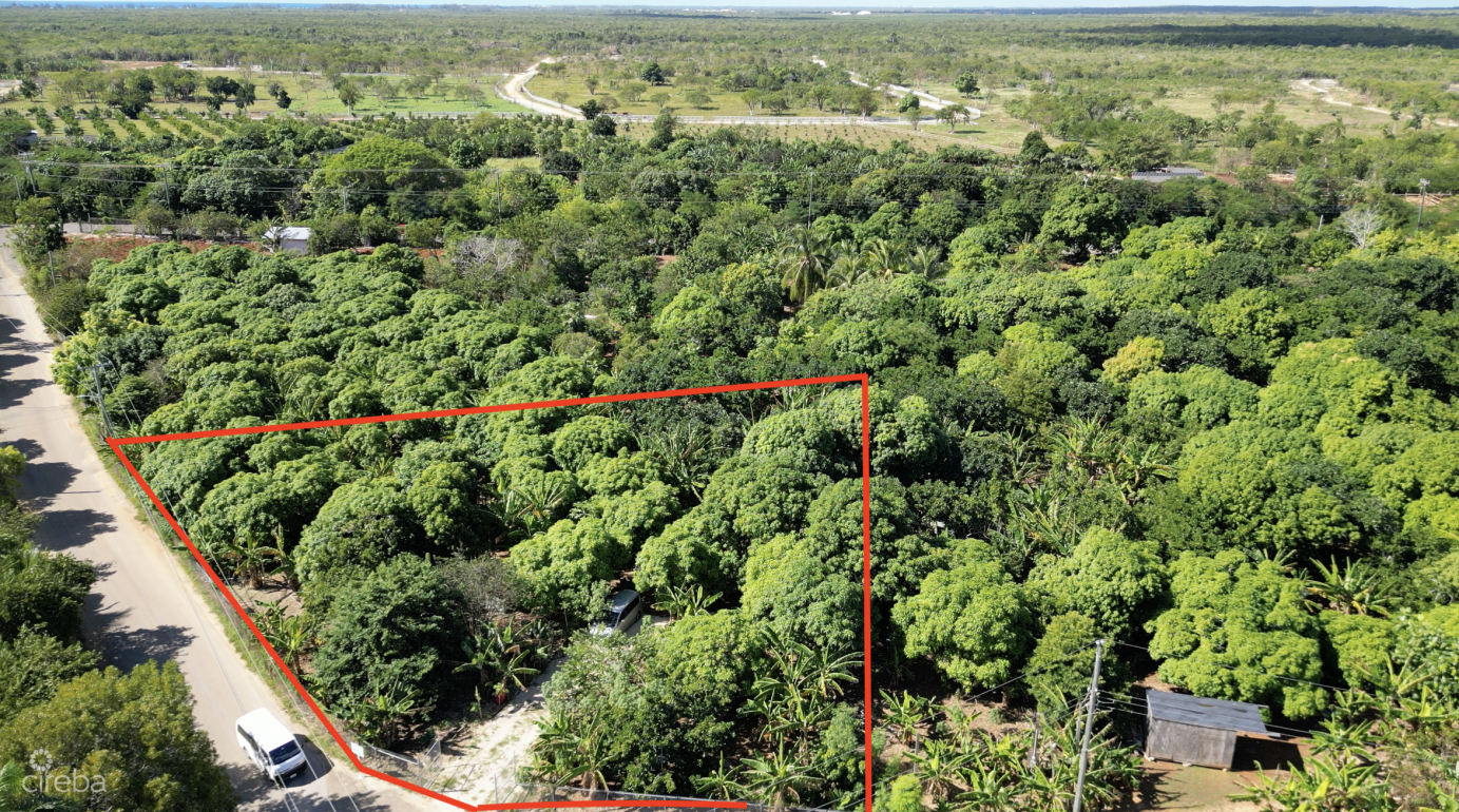 Rare 1-acre Farm Paradise In Up-and-coming High Rock - East End's Hottest Farming Location