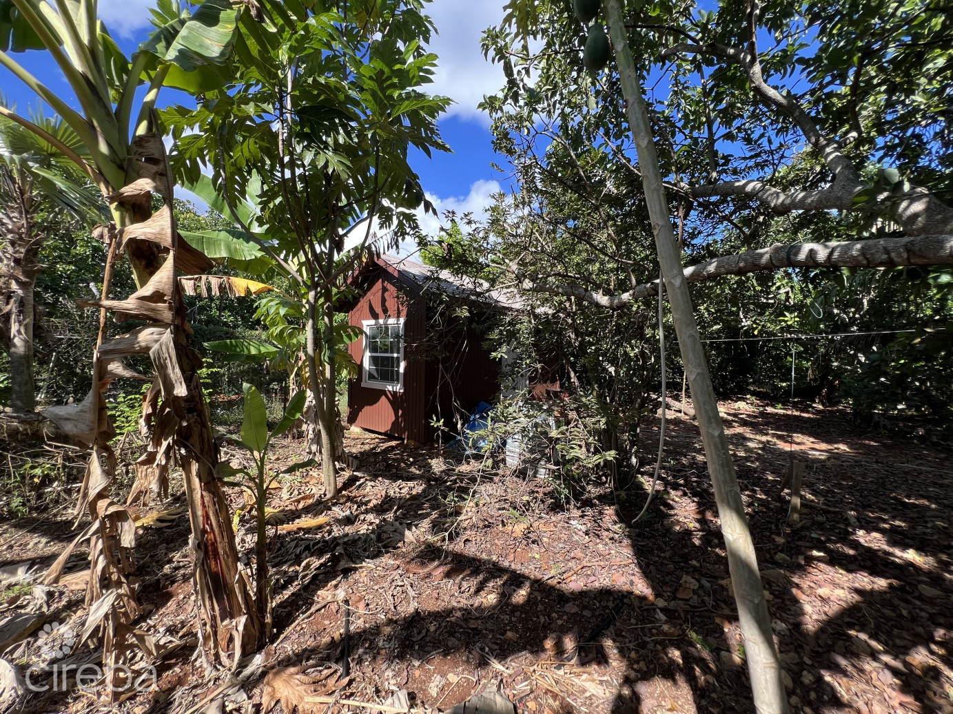 Rare 1-acre Farm Paradise In Up-and-coming High Rock - East End's Hottest Farming Location