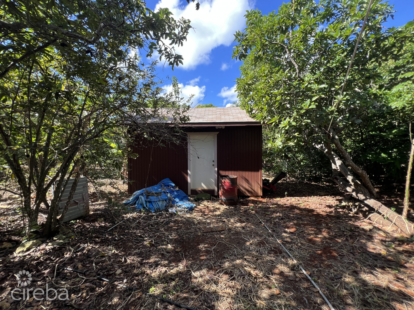 Rare 1-acre Farm Paradise In Up-and-coming High Rock - East End's Hottest Farming Location