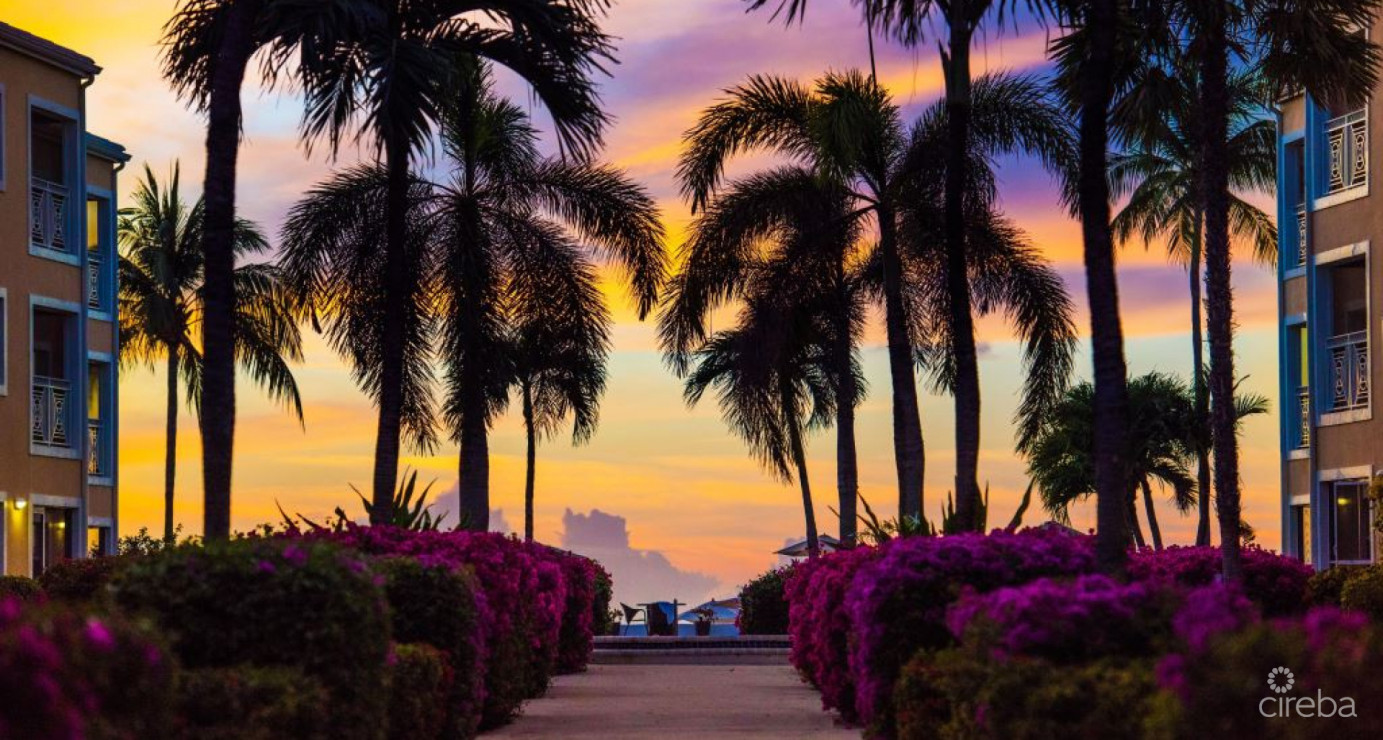 Regal Beach Club  523