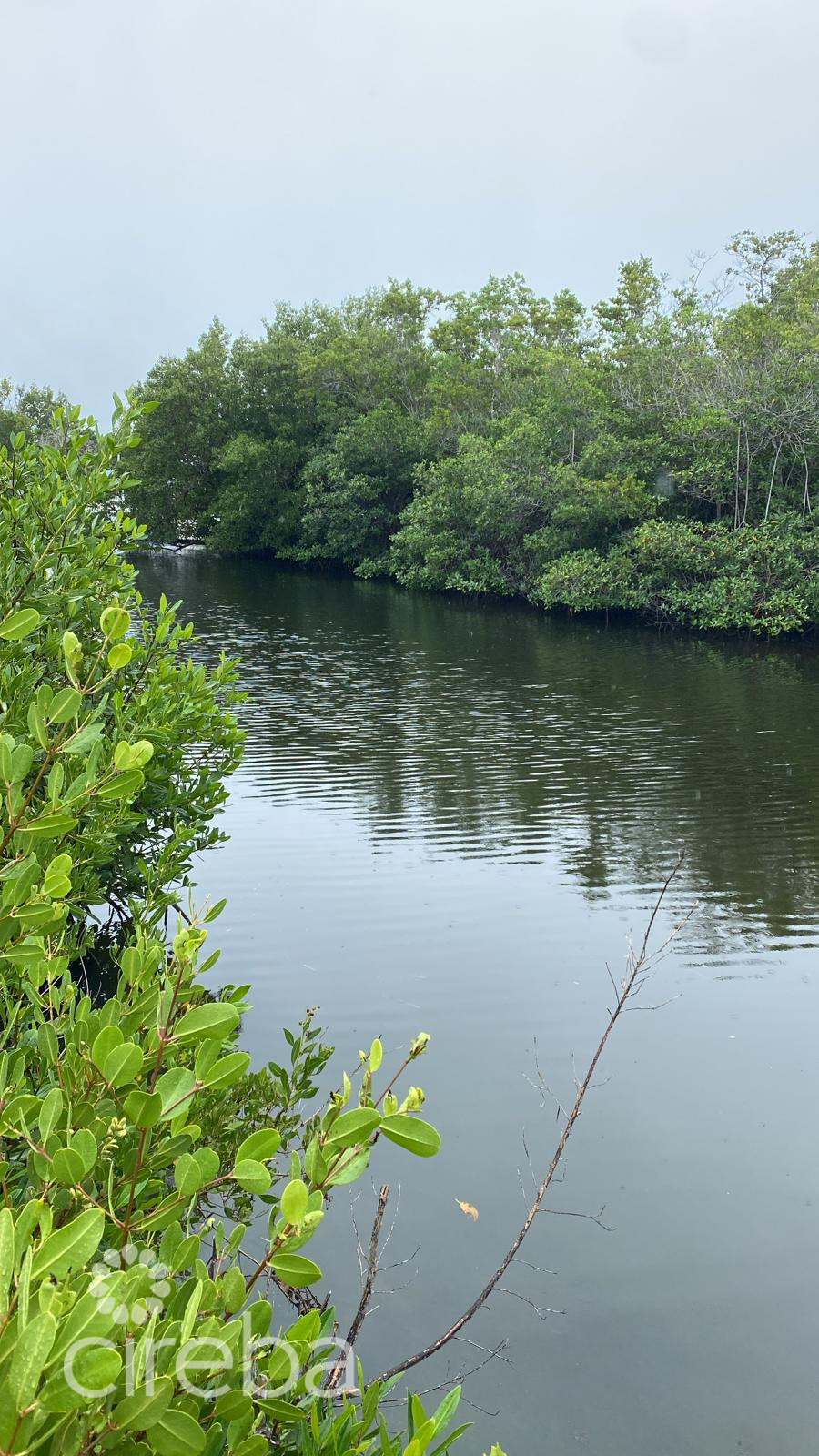 North Sound Estates Canal Lot