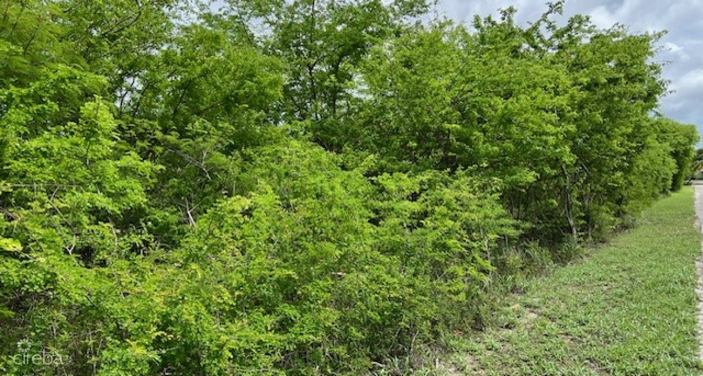 Savannah, Oleander Estates 0.9821 Acre Parcel