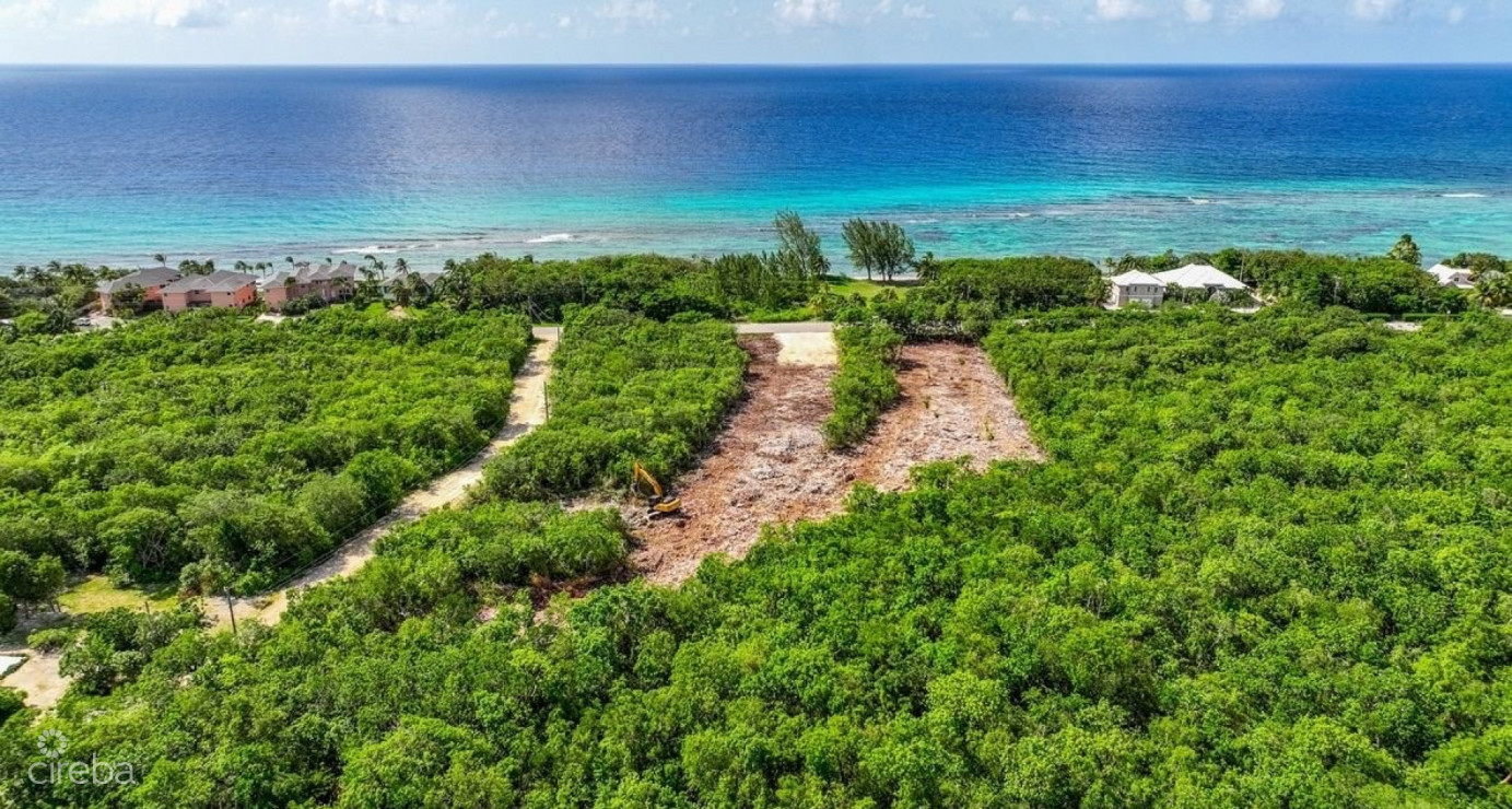 Nature Walk Lot #8 (0.2354 Acre)