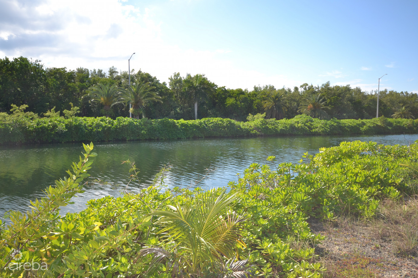 Mangrove Point Canalfront Lot