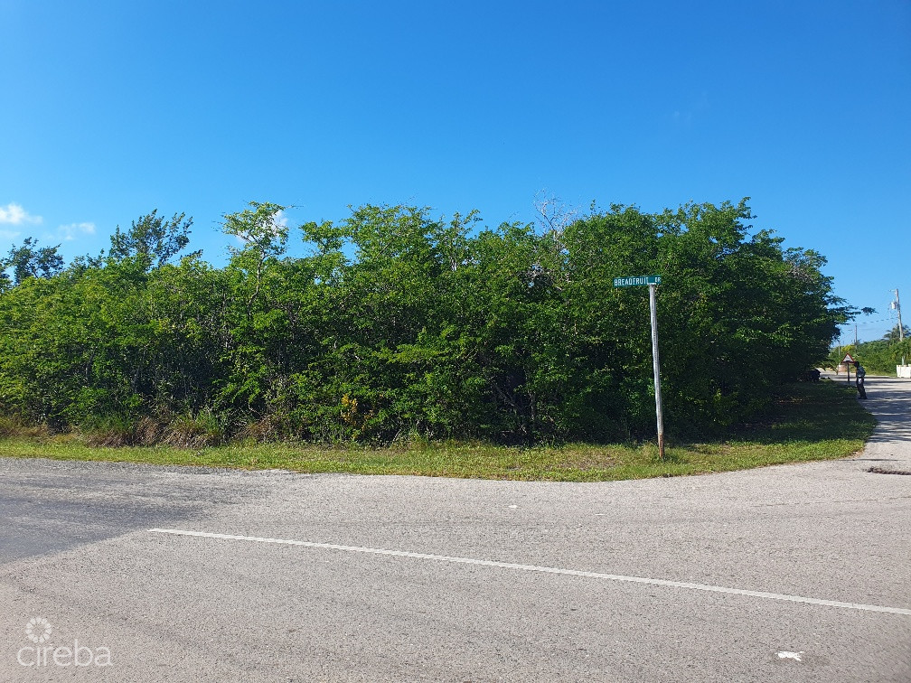 Midland Acres Lot #184